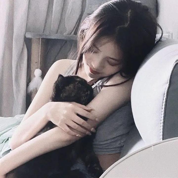 反贪风暴3